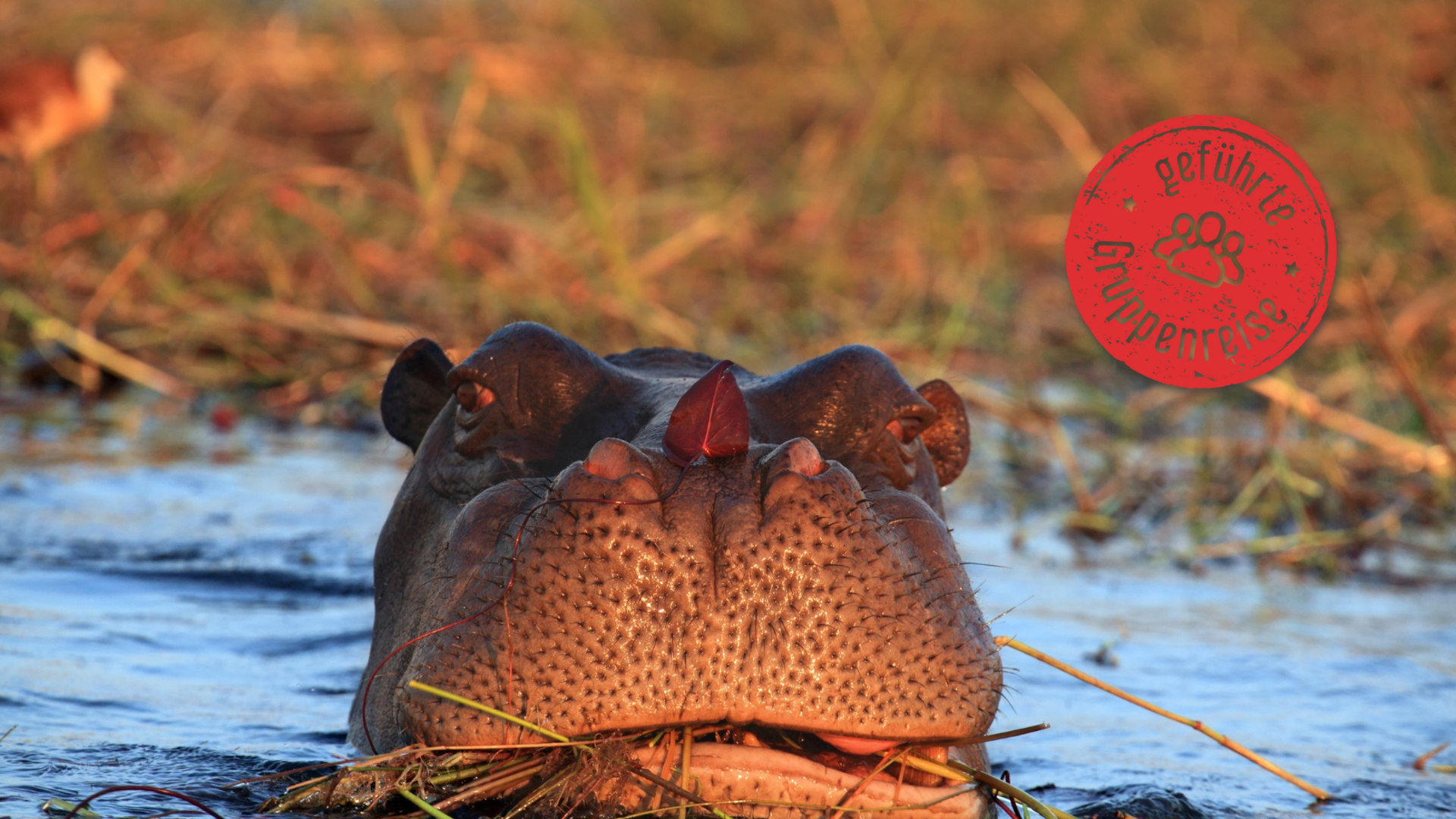 Kenias Nationalparks & Strand